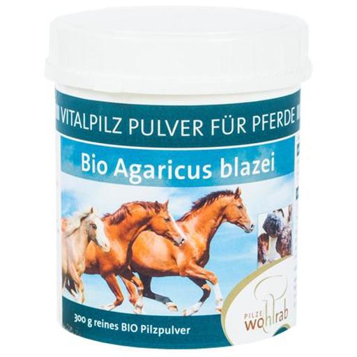 AGARICUS BLAZEI Bio Vitalpilzpulver für Tiere product image
