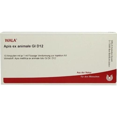 APIS EX animale GL D 12 Ampullen product image