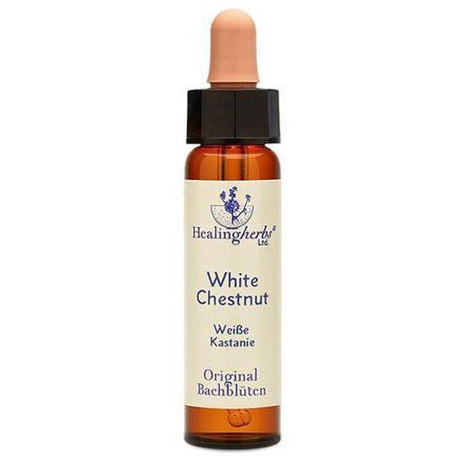 BACHBLÜTEN White Chestnut Healing Herbs Tropfen product image