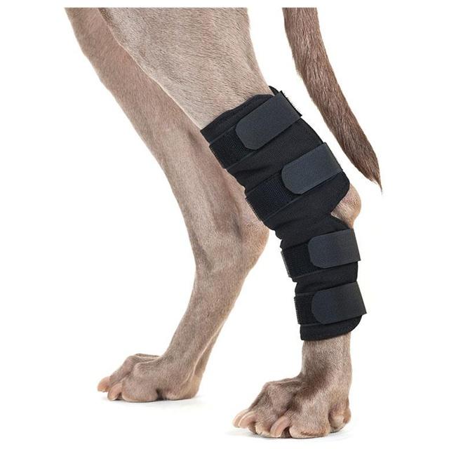 Back on Track Hundhasskydd 2 st S product image
