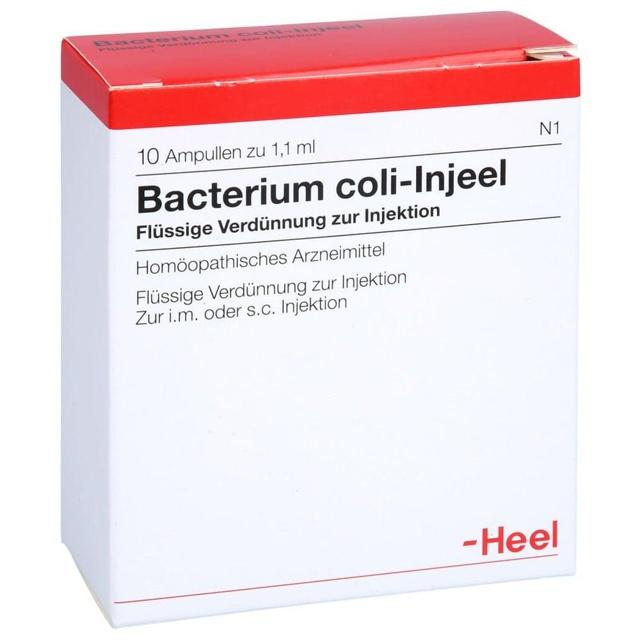 BACTERIUM COLI Injeel Ampullen product image