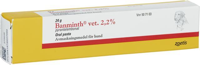 Banminth vet. Oral pasta 2,2 % 24 g product image