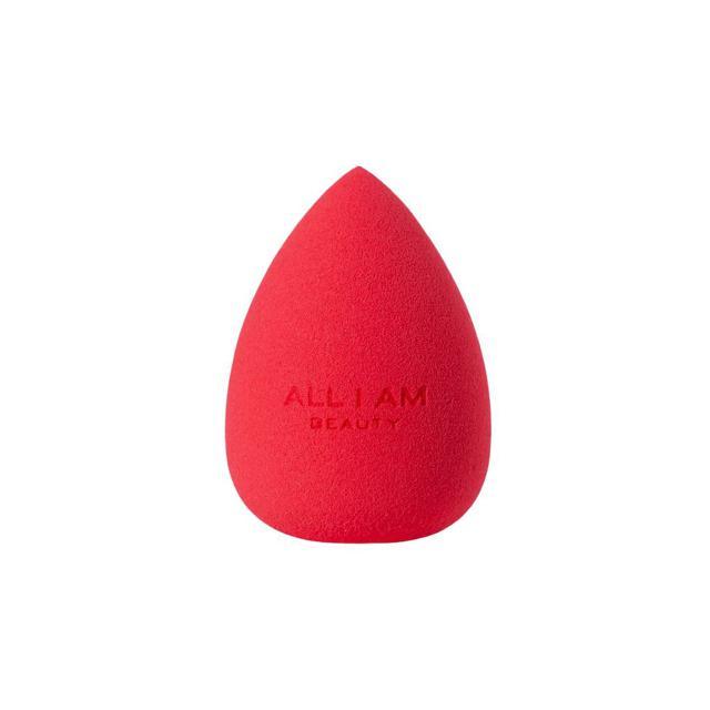 Blending Sponge product image