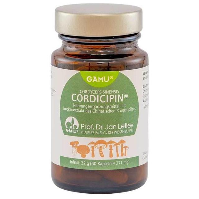 CORDICIPIN Kapseln product image