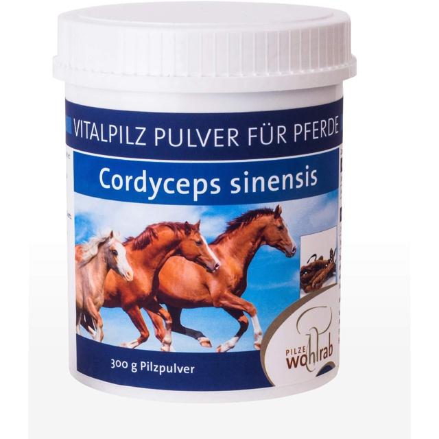 CORDYCEPS VITALPILZ Pulver für Tiere product image