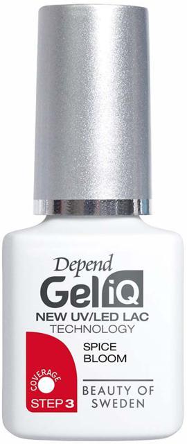 Depend Gel iQ Spice Bloom 5ml product image