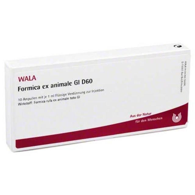 Formica ex animale GL D 60 Ampullen, 10X1 ml Ampullen product image