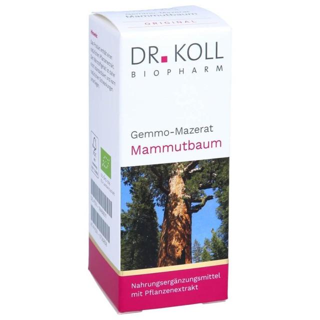 GEMMO-MAZERAT Mammutbaum Dr.Koll Sequoia giga.Tro. product image