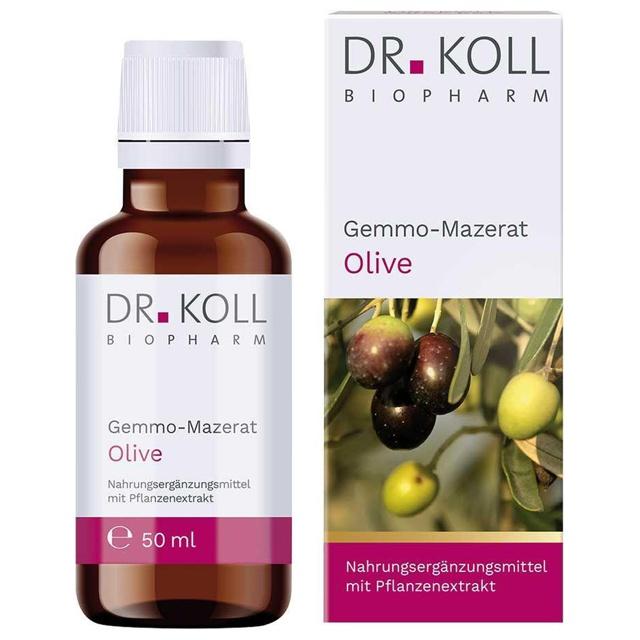 Gemmo-Mazerat Olive Dr. Koll Olea europaea Tropfen, 50 ml Tropfen product image