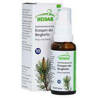 GEMMO-MAZERAT Pinus montana Spray product image
