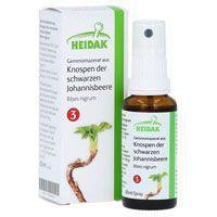 GEMMO-MAZERAT Ribes nigrum Spray product image