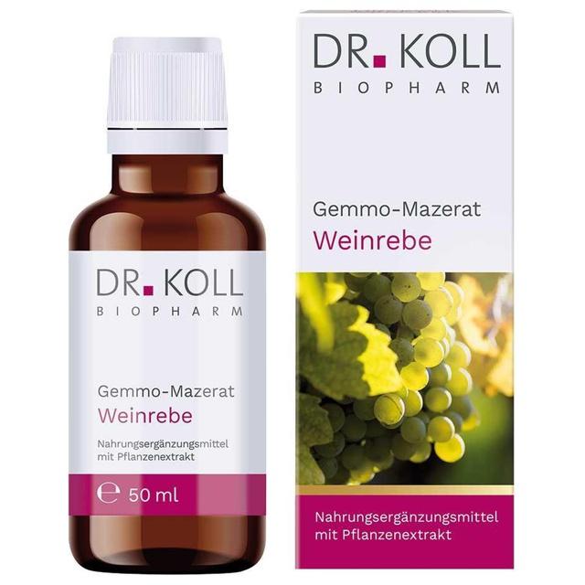 GEMMO-MAZERAT Weinrebe Dr.Koll Vitis vinifera Tro. product image