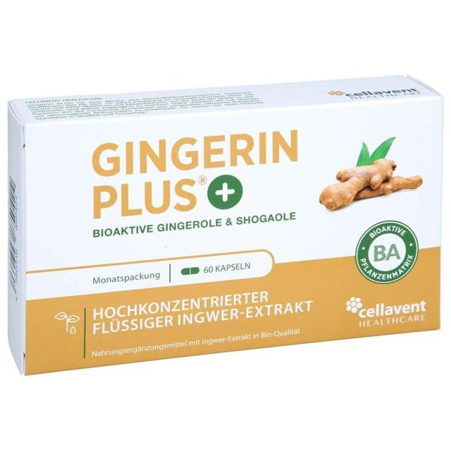 GINGERIN PLUS Kapseln product image
