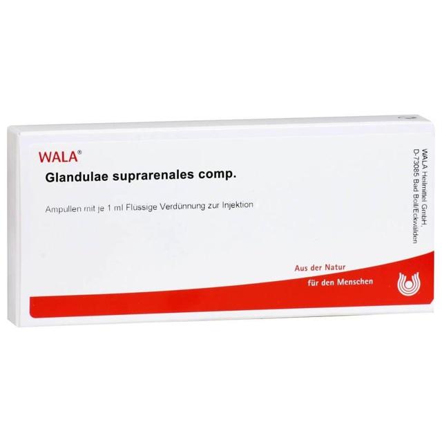 GLANDULAE SUPRARENALES comp.Ampullen product image