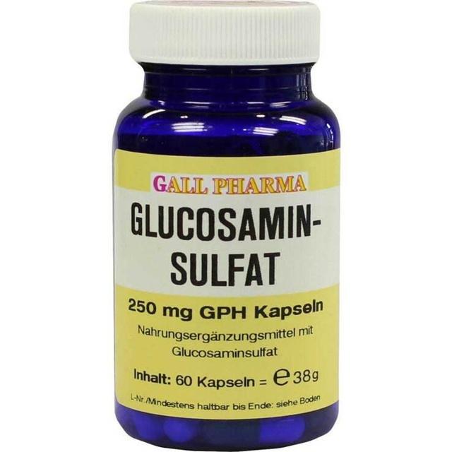 Glucosaminsulfat Kapseln 250, 60 St Kapseln product image