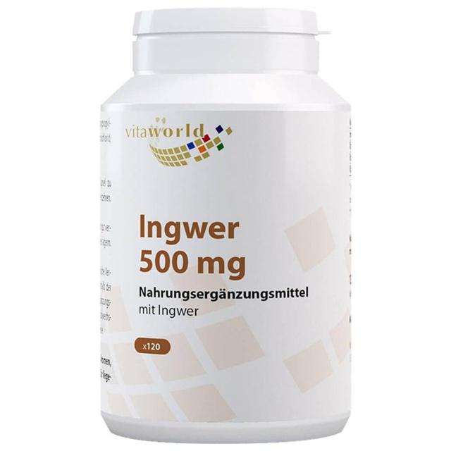 INGWER KAPSELN 500 mg product image