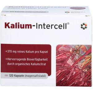 KALIUM-INTERCELL magensaftresistente Hartkapseln product image