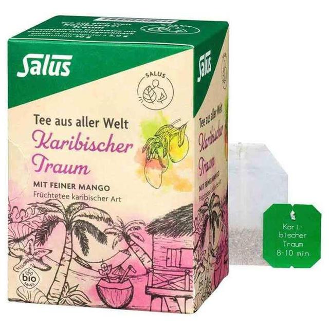 KARIBISCHER Traum Bio Salus Filterbeutel product image