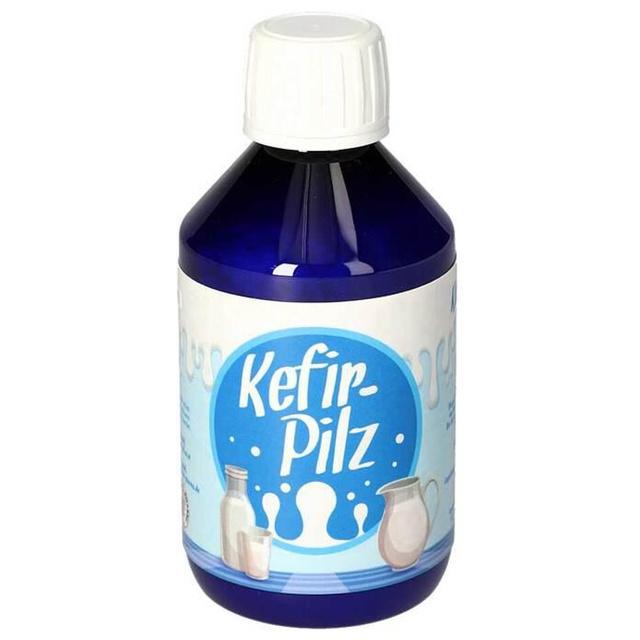 Kefir Pilz zur Bereitung aus Milch, 1 St n.v. product image