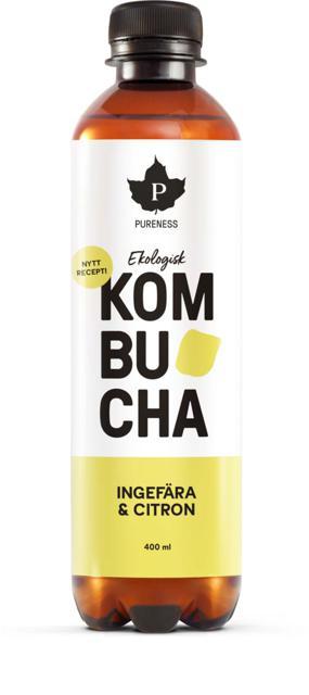 Kombucha EKO 400 ml product image