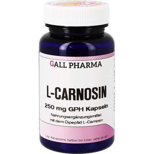 L-CARNOSIN 250 mg GPH Kapseln product image