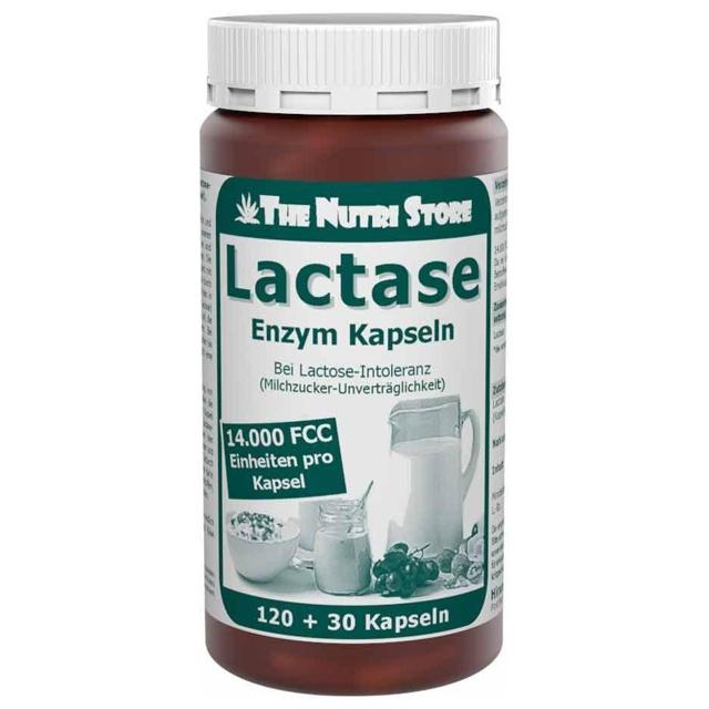 Lactase 14.000 FCC Enzym Kapseln, 120 St Kapseln product image
