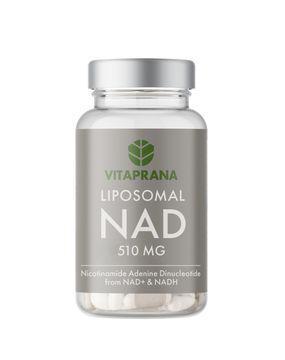 Liposomal NAD+ med NADH 510 mg 30 kapslar product image