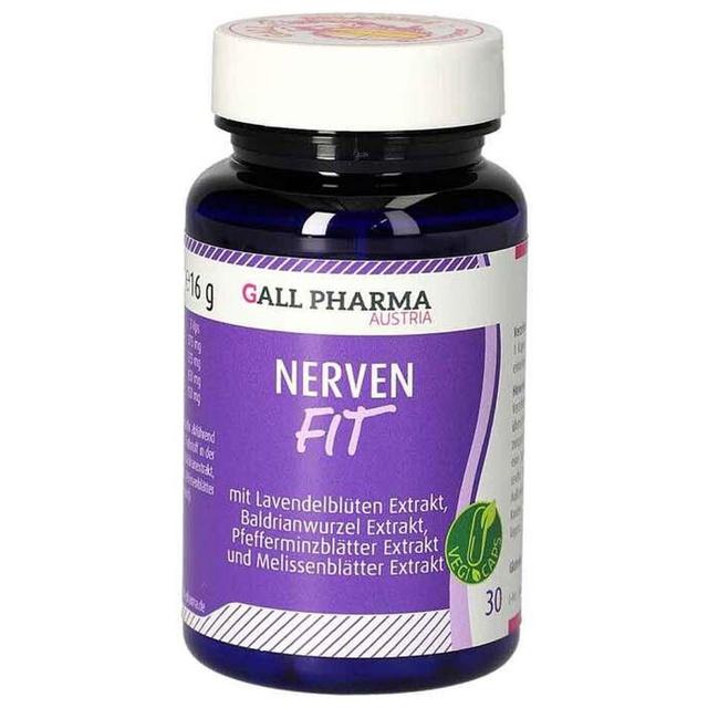 Nerven Fit GPH Kapseln, 30 St Kapseln product image