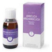 OLIGOPLANT Angelica Archangelica product image