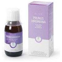 OLIGOPLANT Prunus Virginiana Wildkirsche product image