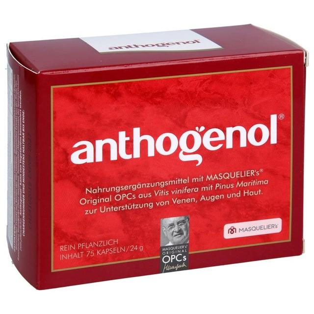 OPC ORIGINAL Masqueliers Anthogenol Kapseln product image
