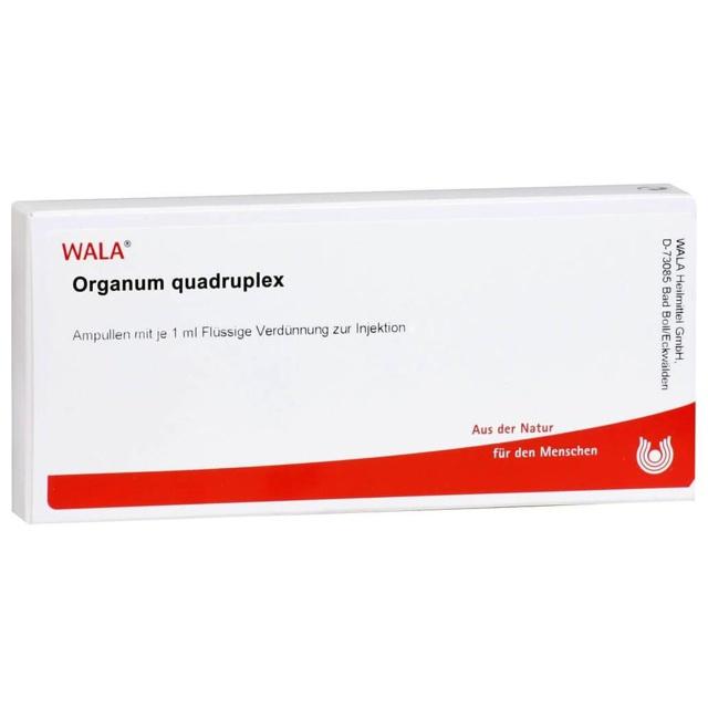 ORGANUM quadruplex Ampullen product image