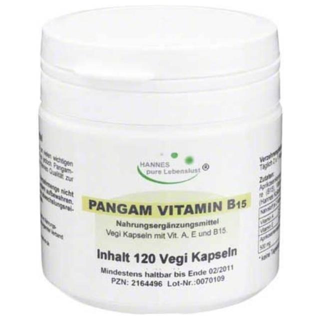 Pangam Vitamin B15 Kapseln, 120 St Kapseln product image