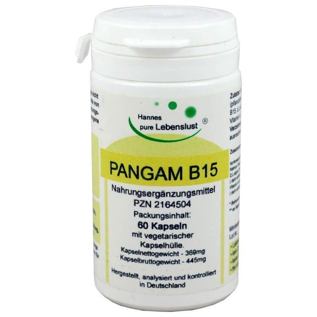PANGAM Vitamin B15 Kapseln product image