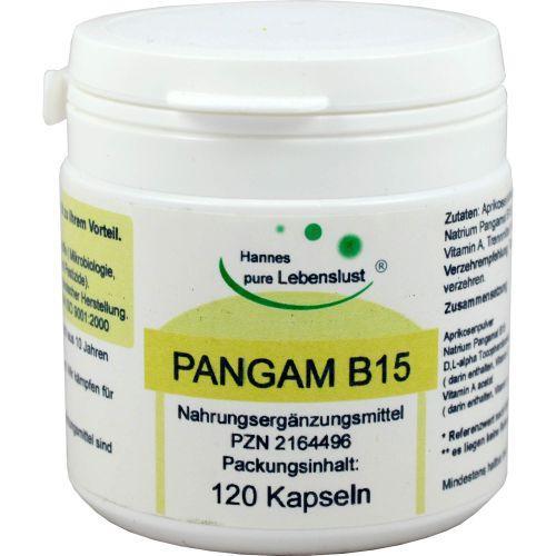 PANGAM Vitamin B15 Kapseln product image