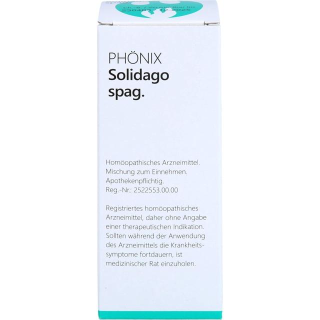 PHÖNIX SOLIDAGO spag.Mischung product image