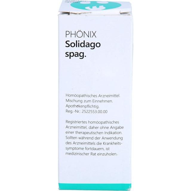 PHÖNIX SOLIDAGO spag.Mischung product image