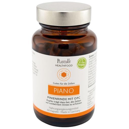 PINIENRINDE MIT OPC 60 St Kapseln product image