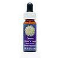 QUEEN Anne's Lace FES kaliforn.Blütenessenz Tropf. product image