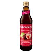 Rabenhorst Wohlfühlen mit Eisen 700 ml Saft product image