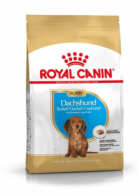 Royal Canin Breed Dachshund Junior 15 kg product image