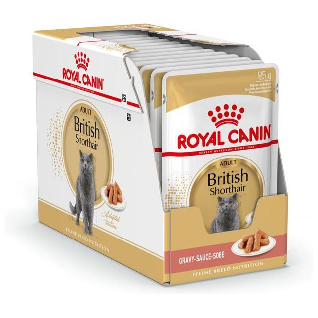 Royal Canin British Shorthair Adult i sås - 24 x 85 g product image