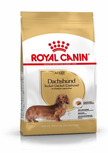 Royal Canin Dachshund Adult - 1,5 kg product image