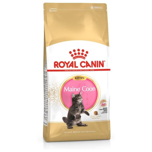 Royal Canin Maine Coon Kitten - 10 kg product image