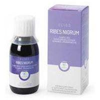 RP OligoPlant Ribes Nigrum Tropfen product image