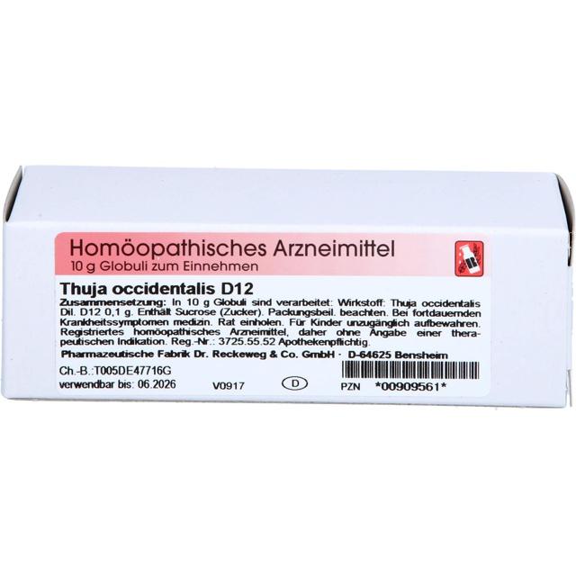 THUJA D 12 Globuli product image