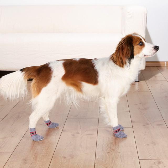 Trixie Hundsockar Non-Slip 2-pack Grå M-L product image