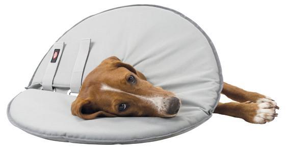 Trixie skyddskrage - Stl. M: halsomfång 38–42 cm product image