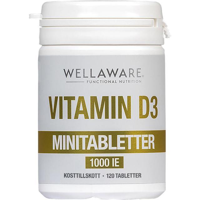 WellAware D3 1000IE 120 st minitabletter product image
