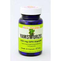 YAMSWURZEL 500 mg GPH Kapseln product image